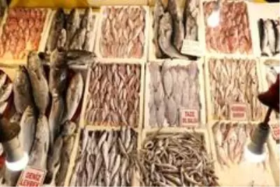 Havalar iyi gitti, balık fiyatları artmadı Havalar iyi gitti, balık fiyatları artmadı