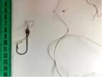 Kaset bandına dolanan caretta caretta, boğulmak üzereyken bulundu Kaset bandına dolanan caretta caretta, boğulmak üzereyken bulundu