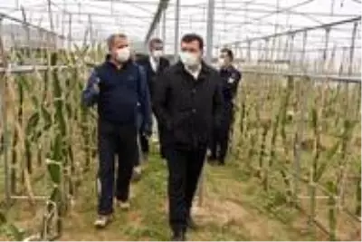 Kaymakam Şahin, 'Efeler Diyarında Pitaya' Projesi kapsamında üreticilerle bir araya geldi Kaymakam Şahin, 'Efeler Diyarında Pitaya' Projesi kapsamında üreticilerle bir araya geldi
