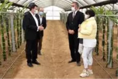 Kaymakam Şahin, 'Efeler Diyarında Pitaya' Projesi kapsamında üreticilerle bir araya geldi Kaymakam Şahin, 'Efeler Diyarında Pitaya' Projesi kapsamında üreticilerle bir araya geldi
