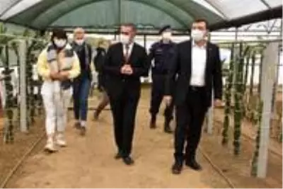 Kaymakam Şahin, 'Efeler Diyarında Pitaya' Projesi kapsamında üreticilerle bir araya geldi Kaymakam Şahin, 'Efeler Diyarında Pitaya' Projesi kapsamında üreticilerle bir araya geldi