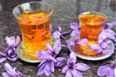 Muğla'da sezonun ilk safran hasadı yapıldı Muğla'da sezonun ilk safran hasadı yapıldı