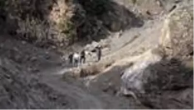 Odun toplamak için gittiği ormanda kaybolan kişinin cesedine ulaşıldı Odun toplamak için gittiği ormanda kaybolan kişinin cesedine ulaşıldı