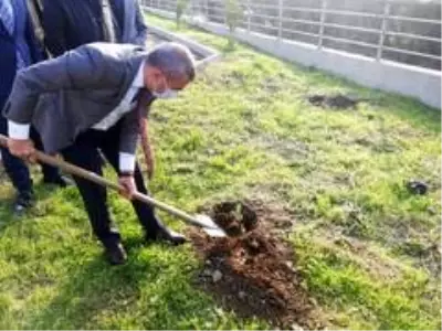 Öğretmenlerin fidanları toprakla buluştu Öğretmenlerin fidanları toprakla buluştu