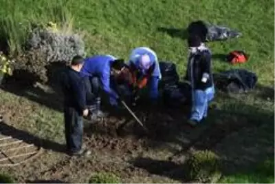 Osmangazi'ye 220 bin kış çiçeği Osmangazi'ye 220 bin kış çiçeği