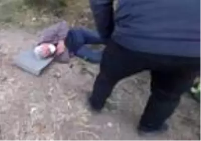 Otomobil şarampole yuvarlandı; 3 ağır yaralı Otomobil şarampole yuvarlandı; 3 ağır yaralı