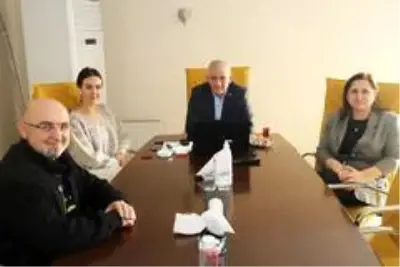 Şahin, Şahin,