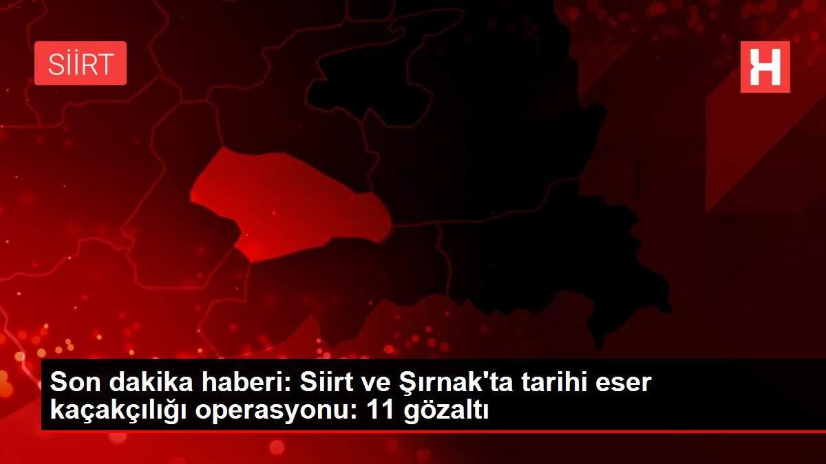 Son dakika haberi: Siirt ve Şırnak'ta tarihi eser kaçakçılığı operasyonu: 11 gözaltı Son dakika haberi: Siirt ve Şırnak'ta tarihi eser kaçakçılığı operasyonu: 11 gözaltı