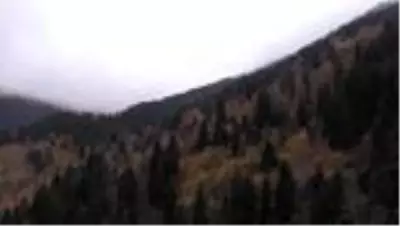 Tarihi İpek Yolu'nda sonbahar güzelliği Tarihi İpek Yolu'nda sonbahar güzelliği