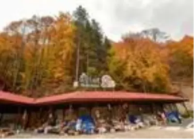 Turizm cenneti Oylat'ta sonbahar güzelliği Turizm cenneti Oylat'ta sonbahar güzelliği