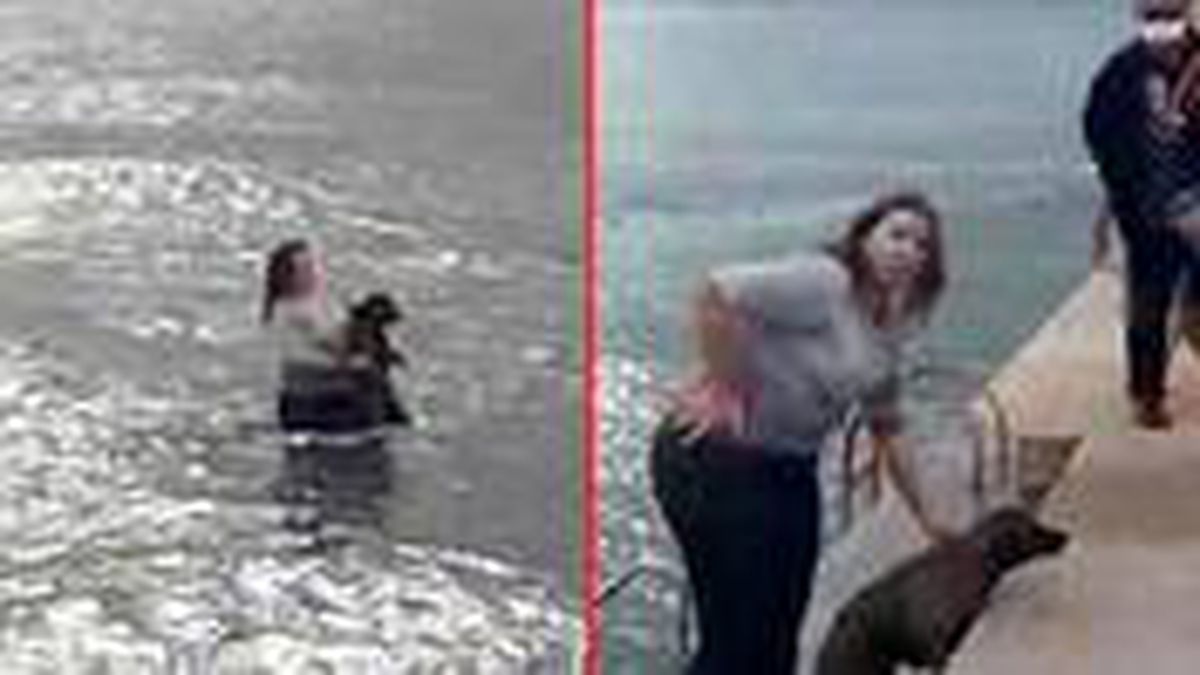 Veteriner hekim, soğuk suda boğulma tehlikesi geçiren köpeği suya atlayarak kurtardı
