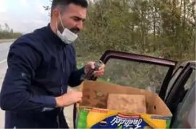 Yolda can çekişen kuşlar için kendi canını hiçe sayan vatandaş o anları anlattı Yolda can çekişen kuşlar için kendi canını hiçe sayan vatandaş o anları anlattı