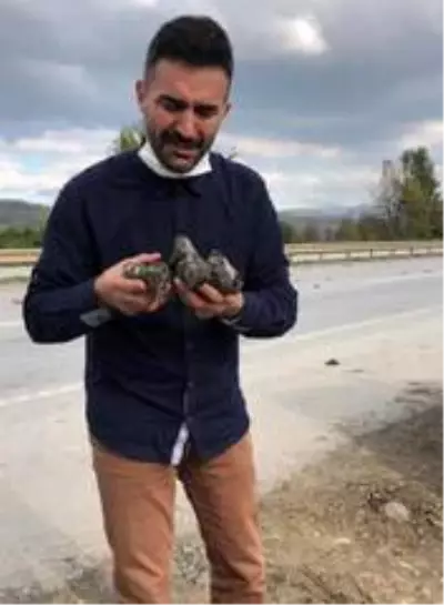 Yolda can çekişen kuşlar için kendi canını hiçe sayan vatandaş o anları anlattı Yolda can çekişen kuşlar için kendi canını hiçe sayan vatandaş o anları anlattı