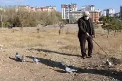 65 yıllık tutkusundan vazgeçemeyen yaşlı adam, evinin balkonunu kümese çevirdi 65 yıllık tutkusundan vazgeçemeyen yaşlı adam, evinin balkonunu kümese çevirdi