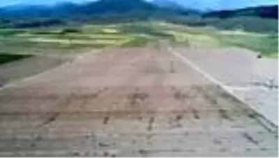 Ata tohumlarına sahip çıkan hibeye hak kazanacak Ata tohumlarına sahip çıkan hibeye hak kazanacak