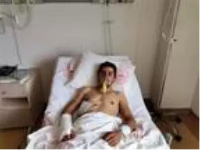 Ayı saldırısında yaralanan kişinin koronavirüs testi pozitif çıktı Ayı saldırısında yaralanan kişinin koronavirüs testi pozitif çıktı