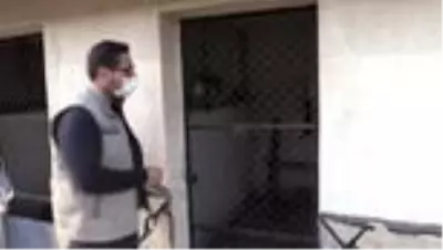 Bahçede bulunan maymun koruma altına alındı Bahçede bulunan maymun koruma altına alındı