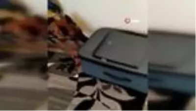 Batman'da 44 kilo 800 gram uyuşturucu madde ele geçirildi