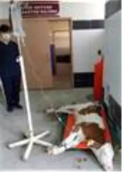 BAÜN, Veteriner Fakültesiyle Bölge Hayvancılığına Güç Katıyor BAÜN, Veteriner Fakültesiyle Bölge Hayvancılığına Güç Katıyor