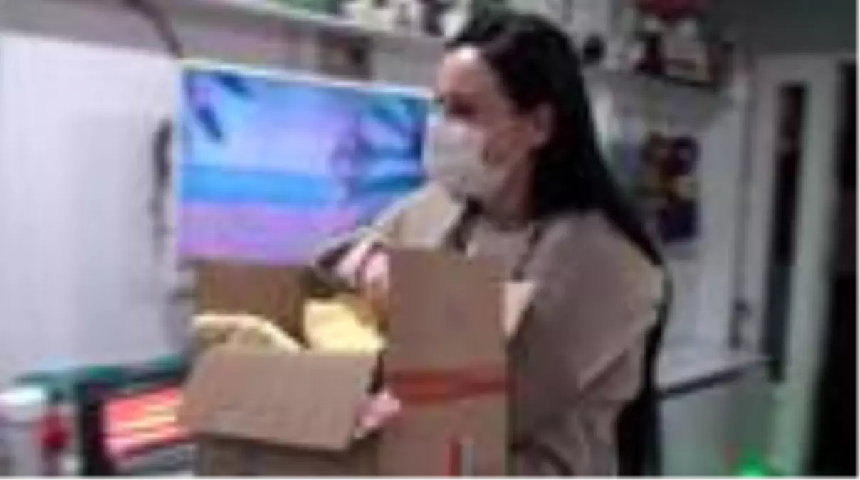 Bitkin halde bulunan yavru kirpi tedaviye alındı