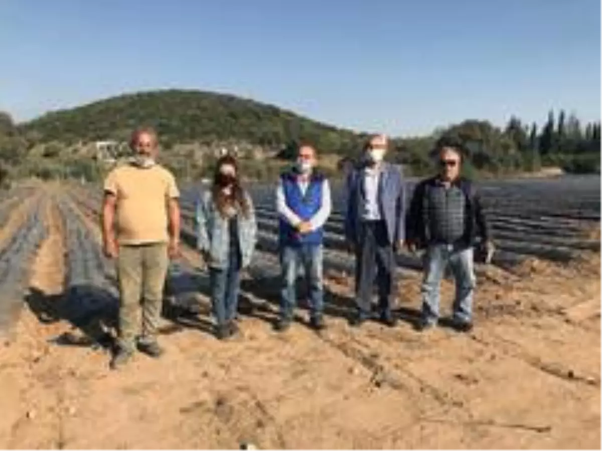 Bodrum Ziraat Odasından üreticilere ziyaret