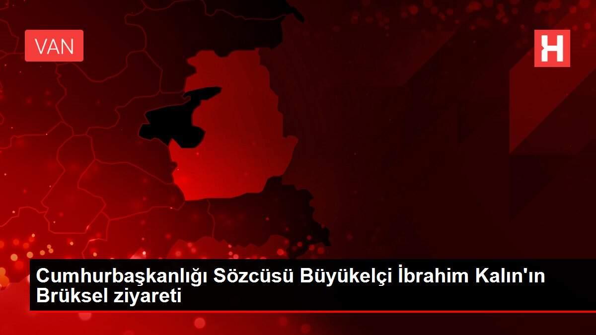 Kalın, ikili ihtilafların Türkiye-AB ilişkilerini rehin almasına müsaade edilmemesi, bir an önce pozitif gündeme geçilmesi gerektiğini vurguladı.