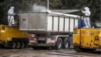 Koronavirüs: Danimarka'nın ardından Polonya'da da vizon çiftliği çalışanlarında koronavirüs tespit edildi Koronavirüs: Danimarka'nın ardından Polonya'da da vizon çiftliği çalışanlarında koronavirüs tespit edildi