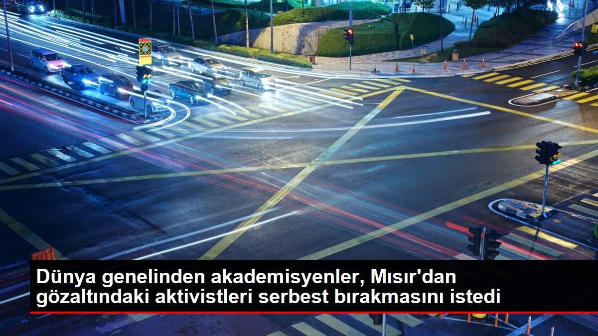 Dünya genelinden akademisyenler, Mısır'dan gözaltındaki aktivistleri serbest bırakmasını istedi Dünya genelinden akademisyenler, Mısır'dan gözaltındaki aktivistleri serbest bırakmasını istedi