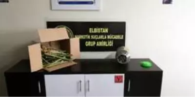 Son dakika haber... Ekinözü'nde uyuşturucu operasyonu Son dakika haber... Ekinözü'nde uyuşturucu operasyonu