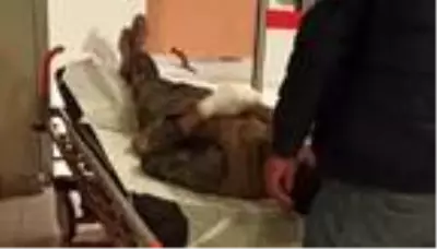 Elini ahşap kesim makinesine kaptıran işçinin parmakları koptu Elini ahşap kesim makinesine kaptıran işçinin parmakları koptu