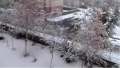 Erzurum'da soğuk hava ve sis etkili oluyor Erzurum'da soğuk hava ve sis etkili oluyor