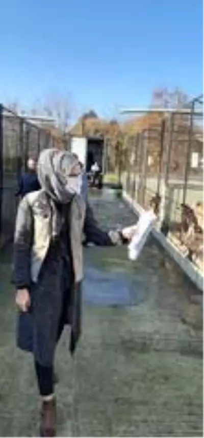 Geçici Hayvan Bakımevi denetlendi Geçici Hayvan Bakımevi denetlendi