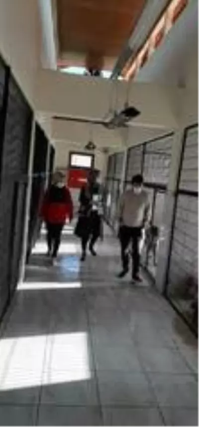 Geçici Hayvan Bakımevi denetlendi Geçici Hayvan Bakımevi denetlendi