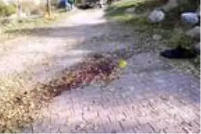 İki grup arasında silahlı kavga: 1 ölü, 1 yaralı İki grup arasında silahlı kavga: 1 ölü, 1 yaralı