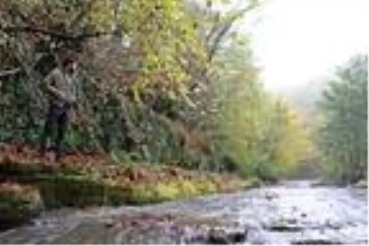 Kabaceviz Şelalelerinde sonbahar güzelliği