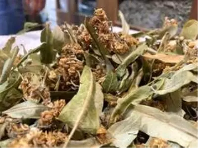 Kış aylarının vazgeçilmezi ıhlamurun fiyatı yüzde 60 zamlandı Kış aylarının vazgeçilmezi ıhlamurun fiyatı yüzde 60 zamlandı