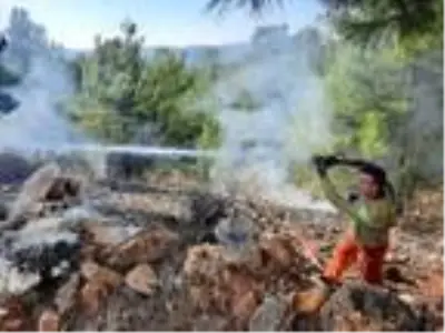 Manavgat'ta yanan orman alanında kaçak kesim yapıldığı belirlendi Manavgat'ta yanan orman alanında kaçak kesim yapıldığı belirlendi