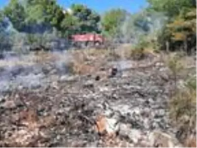Manavgat'ta yanan orman alanında kaçak kesim yapıldığı belirlendi Manavgat'ta yanan orman alanında kaçak kesim yapıldığı belirlendi