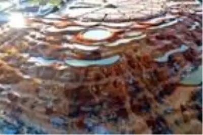 Altın sarısı rengiyle eşsiz görüntü sunan 'Altınkale' açıldı Altın sarısı rengiyle eşsiz görüntü sunan 'Altınkale' açıldı