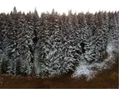 Sinop'a mevsimin ilk karı düştü, kartpostallık görüntüler ortaya çıktı Sinop'a mevsimin ilk karı düştü, kartpostallık görüntüler ortaya çıktı
