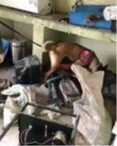 Sivrihisar'da uyuşturucu madde ve silah operasyonu, 3 şüpheli yakalandı Sivrihisar'da uyuşturucu madde ve silah operasyonu, 3 şüpheli yakalandı