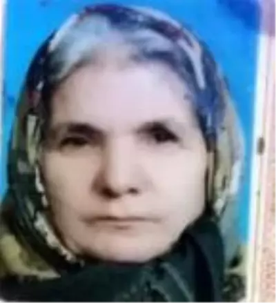 TIR'ın çarptığı kadın hayatını kaybetti TIR'ın çarptığı kadın hayatını kaybetti