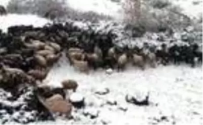 Tunceli'de kar ve tipi nedeniyle 25 köy yolu ulaşıma kapandı Tunceli'de kar ve tipi nedeniyle 25 köy yolu ulaşıma kapandı