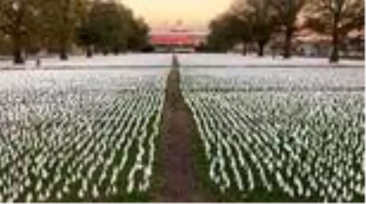 WASHINGTON - Washington'da Kovid-19 kurbanları için beyaz bayraklar yerleştirildi