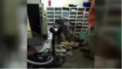 Yakalanan DEAŞ'lıların İncirlik Üssüne saldırı planladığı ortaya çıktı Yakalanan DEAŞ'lıların İncirlik Üssüne saldırı planladığı ortaya çıktı
