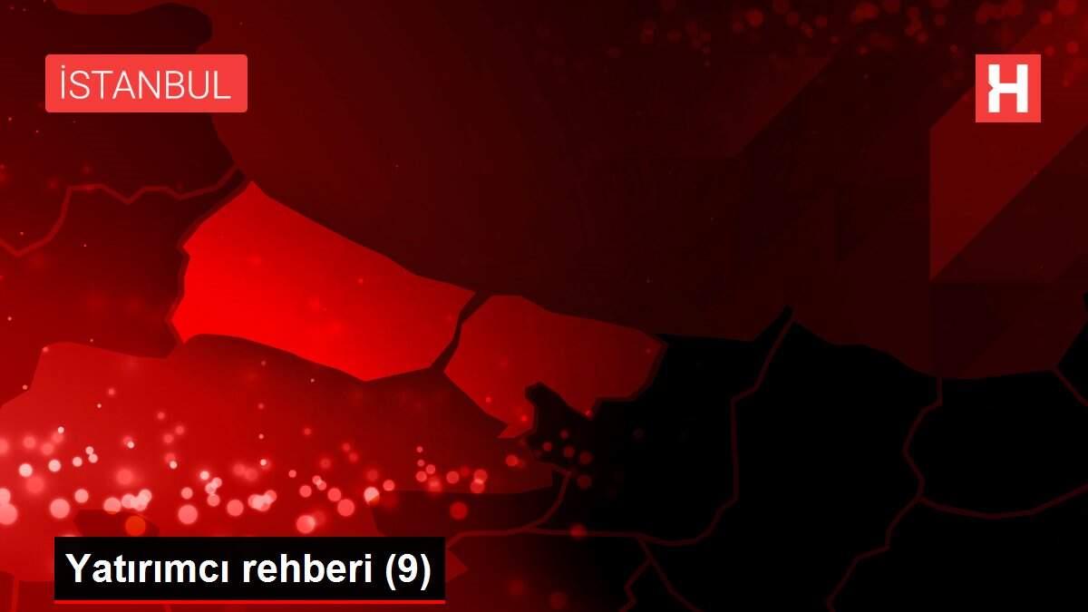Yatırımcı rehberi (9) Yatırımcı rehberi (9)