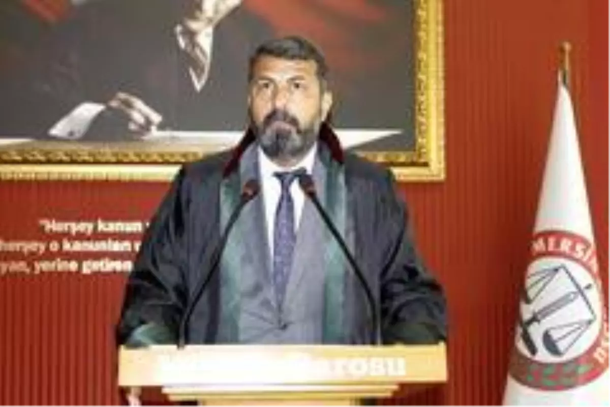 Yeşilboğaz: 'Hayvana şiddet suç kapsamına alınmalı'