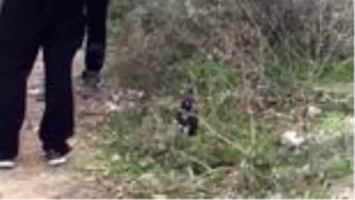 Yol kenarında çalılıklar arasına gizlenmiş EYP bulundu (2) Yol kenarında çalılıklar arasına gizlenmiş EYP bulundu (2)