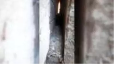 Binaların duvarları arasına sıkışan köpeği itfaiye kurtardı