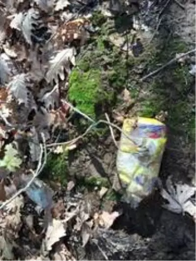 Bitlis'te EYP ve gıda malzemesi ele geçirildi Bitlis'te EYP ve gıda malzemesi ele geçirildi